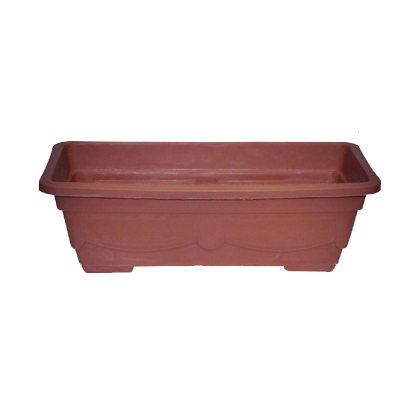 Pack of 3 - Pots Seedling and Flowering Kiyari G-151- Without Flowers