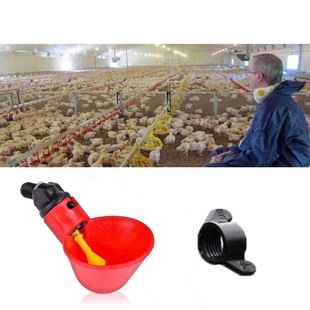 1 Pcs Chicken Automatic Water Drinking Cup Feeder Plastic Easy Installation With Screws - Red