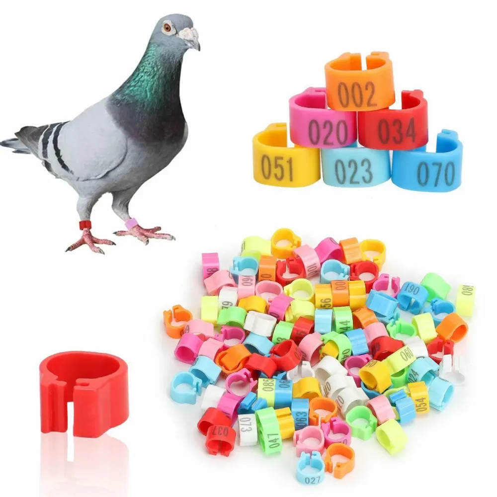 100 Pcs Color Pigeon Foot Ring 8mm Identification