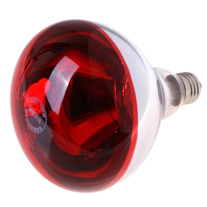 100 Watts - Jumbo Size Pet Infrared Waterproof Heating Light Bulb for birds, chicken Incubator, Brooder
