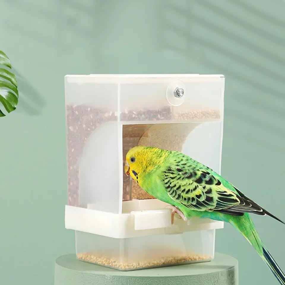 Imported High Quailty Bird Feeder Parrot Automatic Feeder Seed Food Container