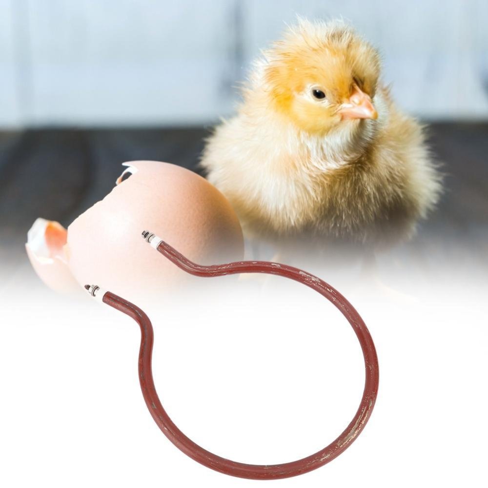 100W 220V Ring Round Shape Heater Effective For Egg Incubator Brooder Animals