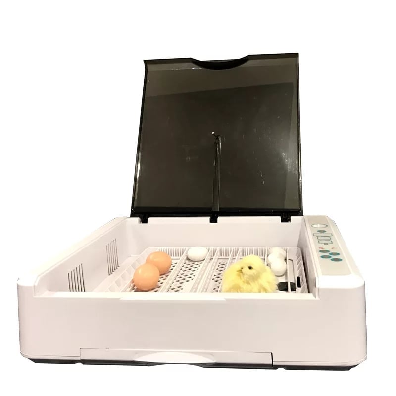 HHD 36 Eggs Mini Fully Automatic Incubator Farm Chicken Bird Pigeon Incubator Hatcher Machine