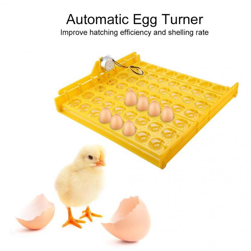 HHD High Quality 56 Eggs Incubator's Turn Tray for Chicken Duck Birds 12v DC & 220v AC