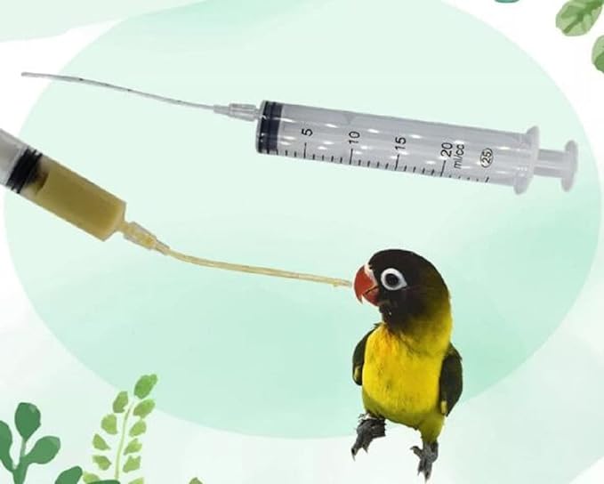 20cc Pets Baby Bird Pointed Feeding tool Milk Medicine Parrot Feeder for All Baby Bird