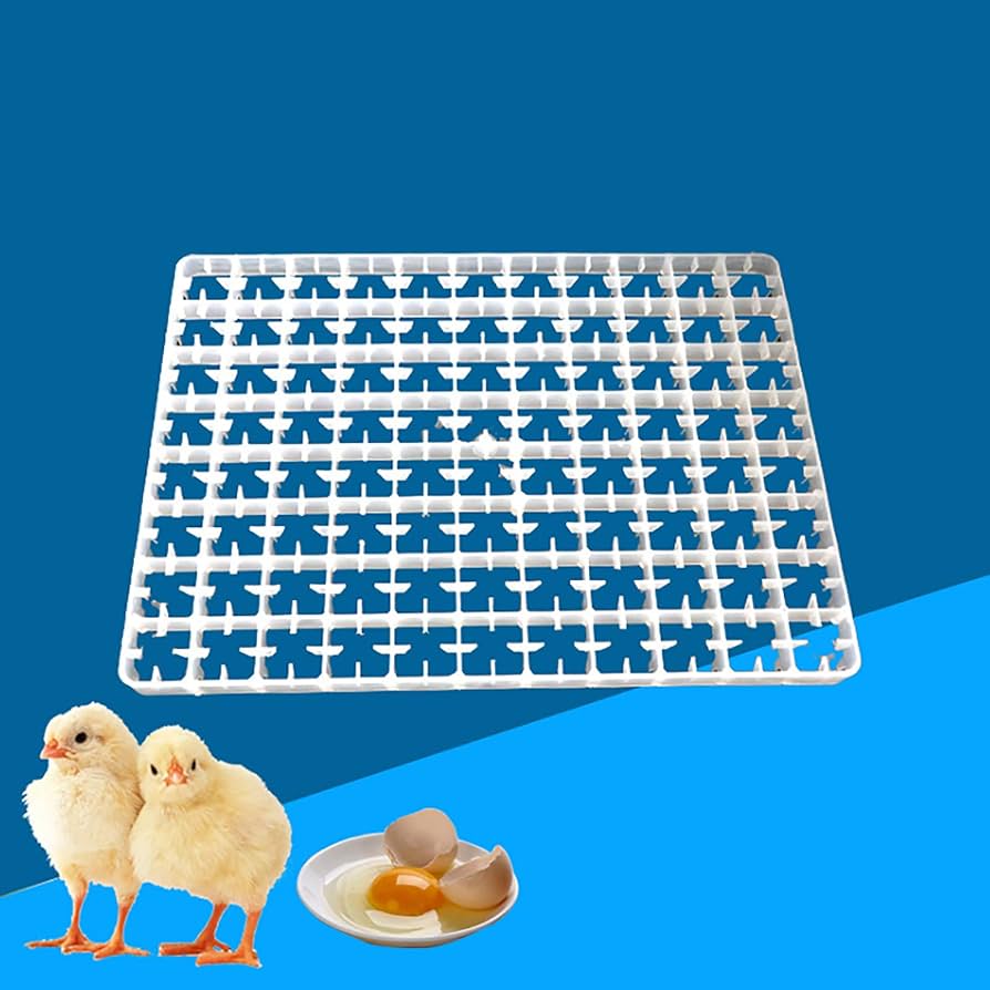 Premium Quality 88 Chicken eggs Tray for Industrial Incubator