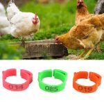 20 Pcs Chicken Leg Bands Adjustable Chicken Poultry Rings Pigeon Number Tag