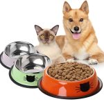 22cm - Large Stainless Cat Bowls Pet Steel Bowl Set Food Water Bowl for Dogs and Cats Anti-skid