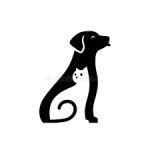 Dogs & Cats Accessories