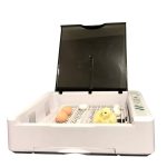 HHD 36 Eggs Mini Fully Automatic Incubator Farm Chicken Bird Pigeon Incubator Hatcher Machine