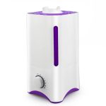 4L Ultrasonic Double Nozzle Air Humidifier Air Purifier Mist Maker