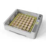 HHD New 36 Eggs Mini Fully Automatic Incubator Farm Chicken Bird Pigeon Incubator Hatcher Machine