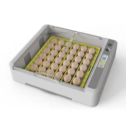 HHD New 36 Eggs Mini Fully Automatic Incubator Farm Chicken Bird Pigeon Incubator Hatcher Machine