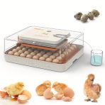 HHD WONEGG 56 Eggs Latest model Fully Automatic Incubator (Humidity Control) Dual Power AC/DC - Image 2
